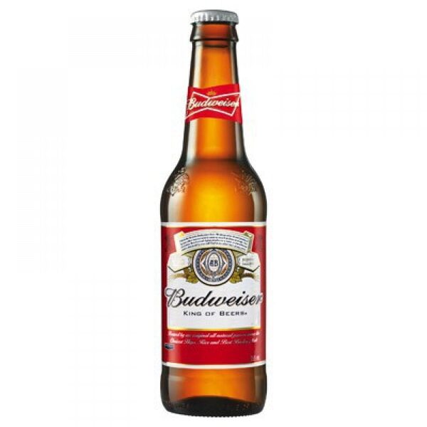 BIRRA BUDWEISER CL 33   5% Vol.  Pz. 24