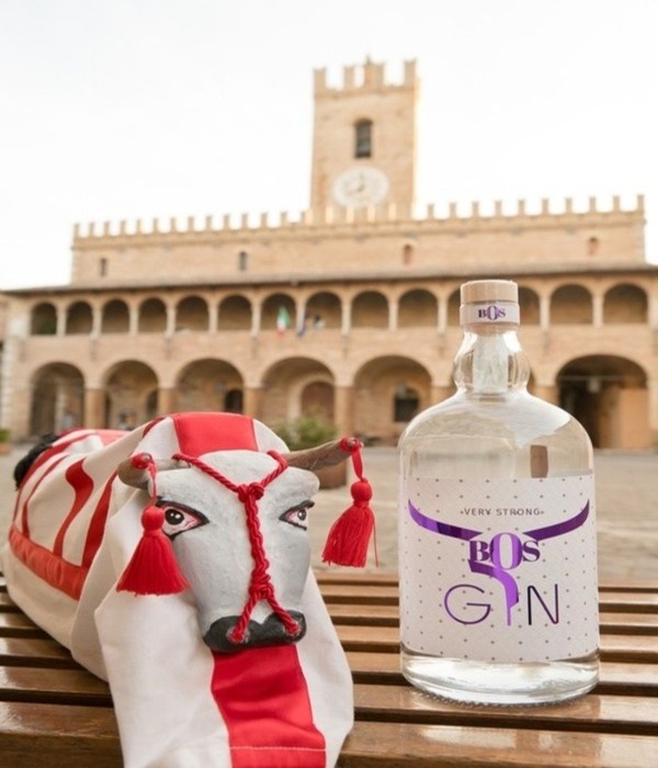 GIN BOS POMPELMO  CL 100  40% Vol.